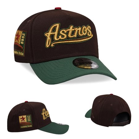 Houston Astros Adjustable Hat
